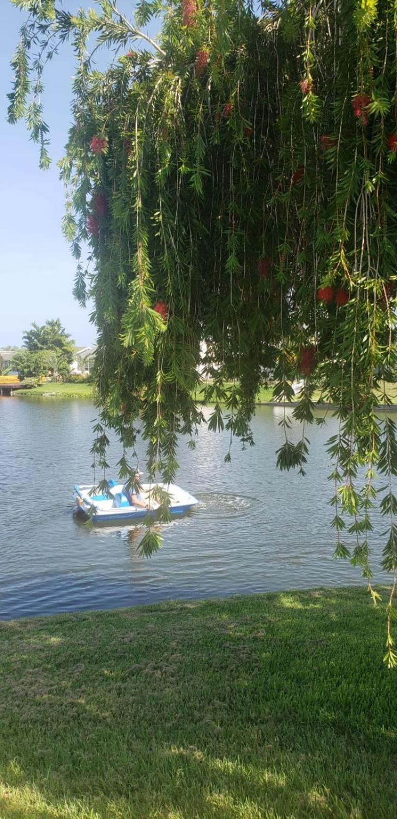 Апартаменты Near Clearwater And Tarpon Spring With Water View Холидэй Экстерьер фото