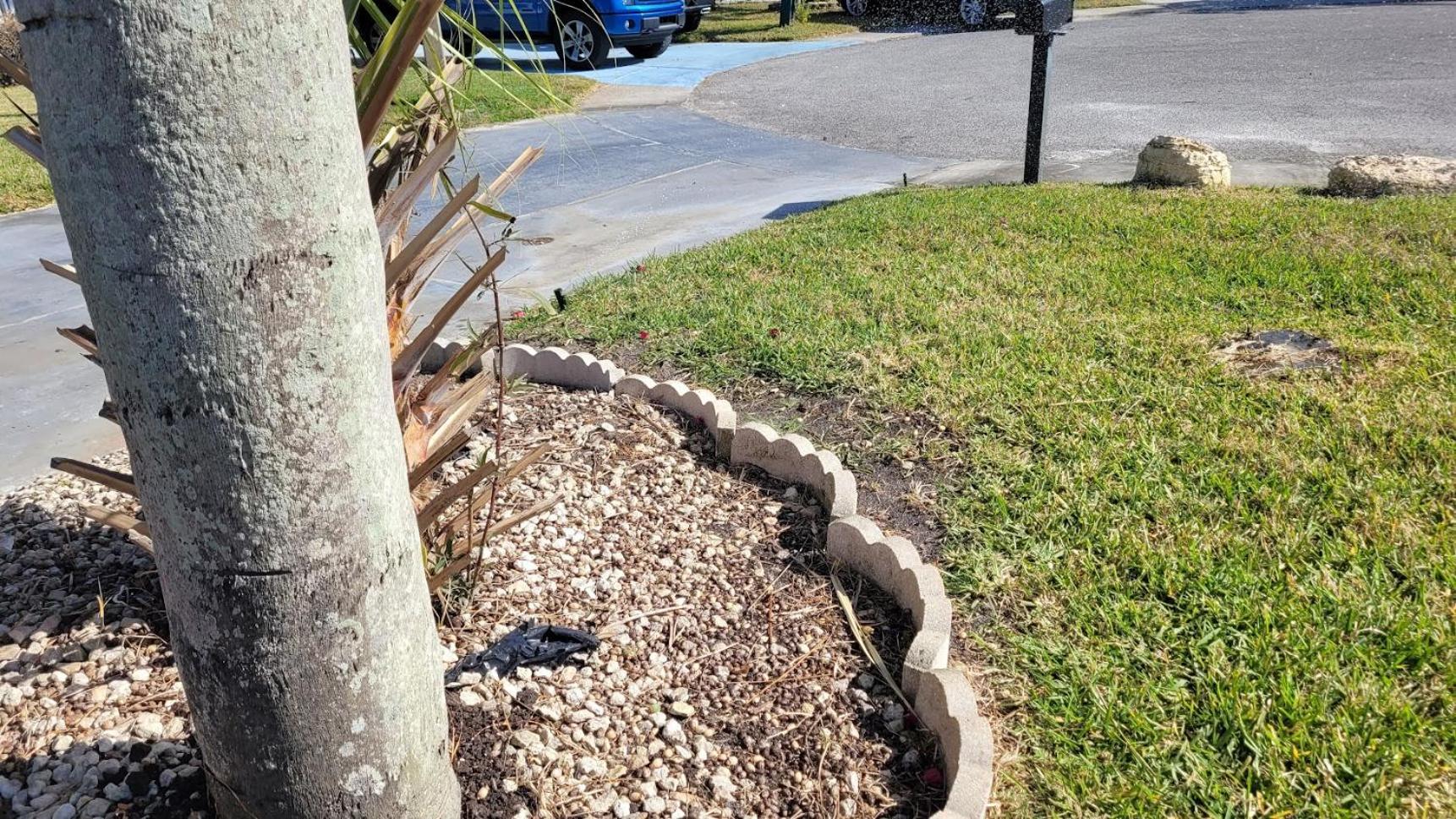 Апартаменты Near Clearwater And Tarpon Spring With Water View Холидэй Экстерьер фото